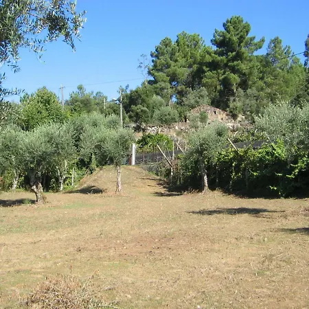 Caoxe - Apartament