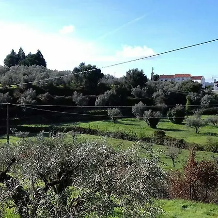 Caoxe - Apartament *